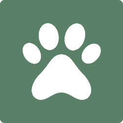Dog Friendly Flagstaff logo