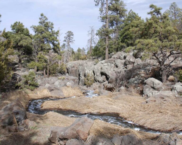 picture canyon 768x613