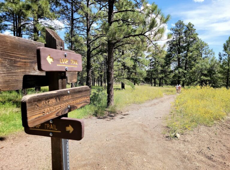 sandy seep trail 768x569